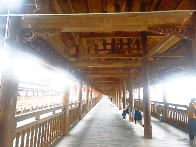 桂北秋色行之柿红