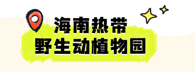 海口入境游氛围愈发浓厚！外国朋友来了都说方便