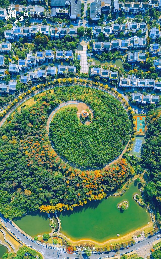 这样的桐梓坡，你一定没见过！