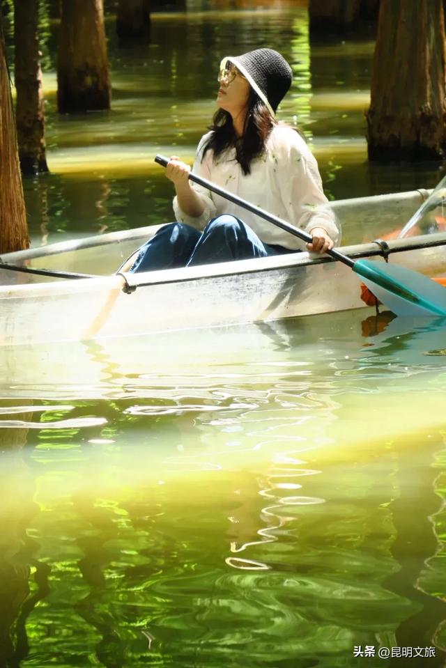 “红”爆!是谁还没有Get昆明的冬天?你知道12月的滇池有多绝?周末冲~