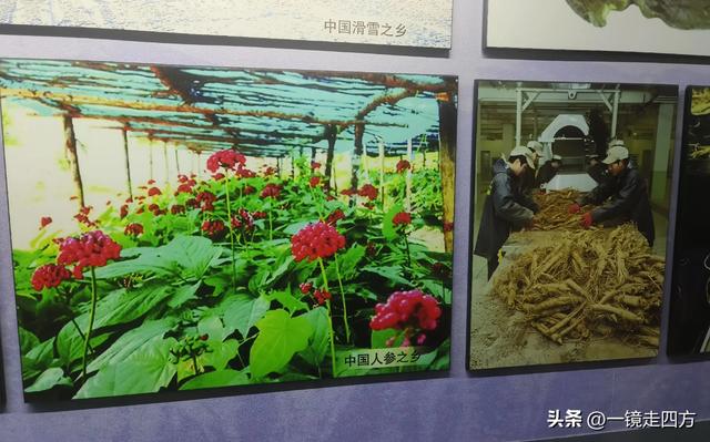 通化市自然博物馆
