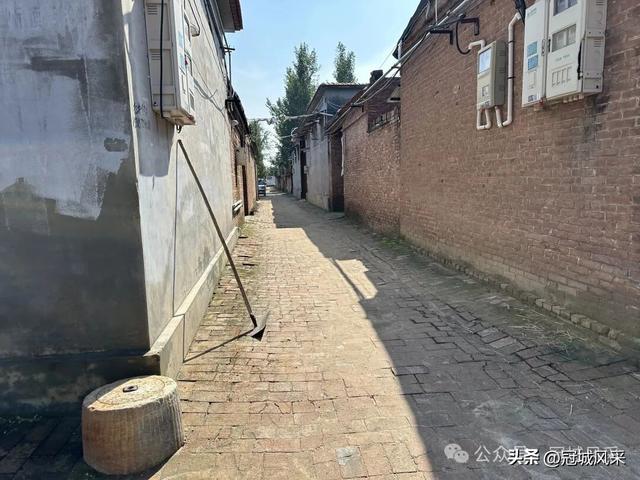 冠县乡韵·兰沃乡大柳邵村