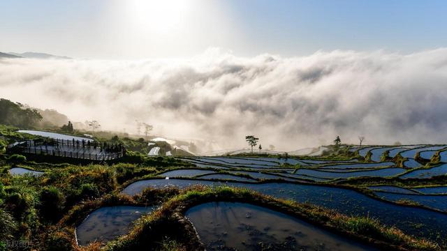 邂逅泳溪梯田，翻开秋日的浪漫诗篇