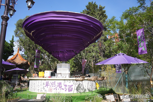 在翠湖与老街之间，生长出的昆明慢生活样本