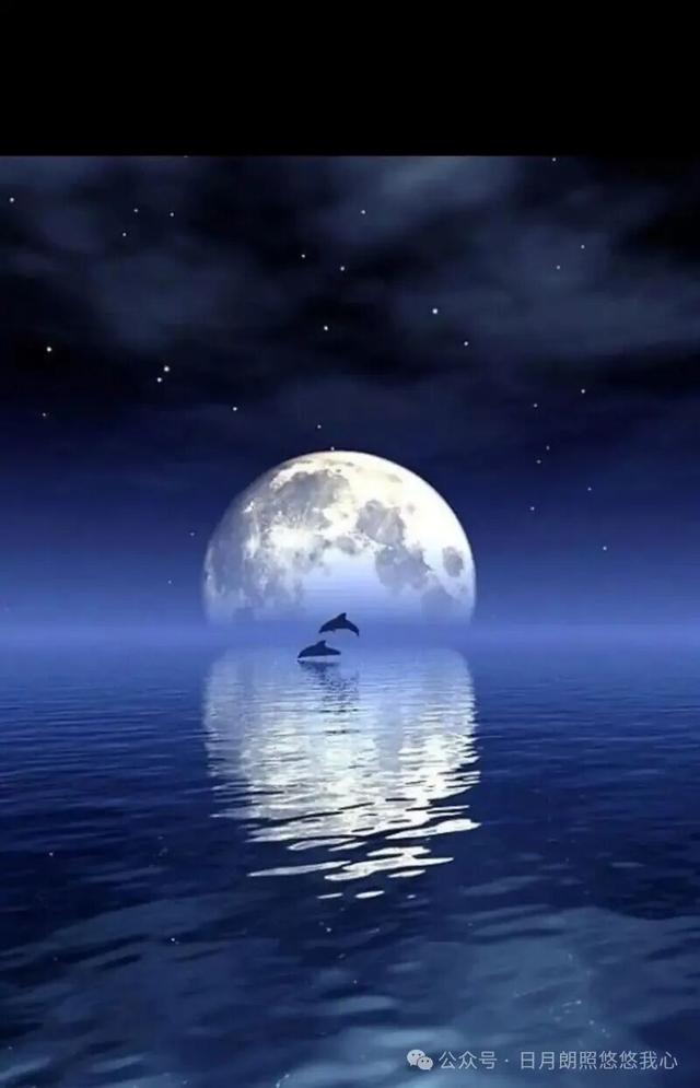 登山则情满于山，观海则意溢于海