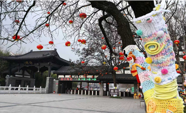 连云港：花果山大树集体穿上了“猴哥牌”毛衣