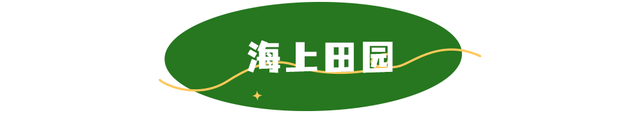 活力宝安城区指南｜山海蓝绿瞬间：山水连城，绿动宝安！