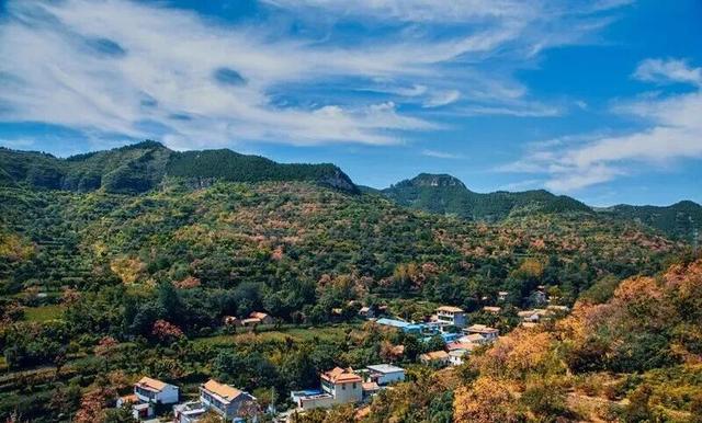 青州的秋天，从这份甜蜜开始