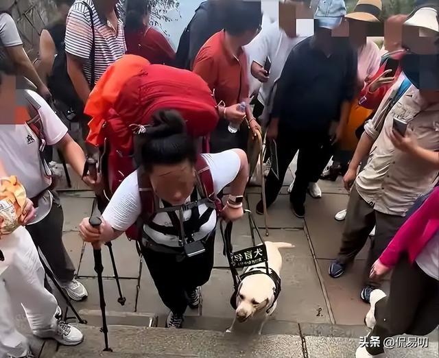 17小时爬泰山后，盲女王营营为何丢了导盲犬、没了工作？