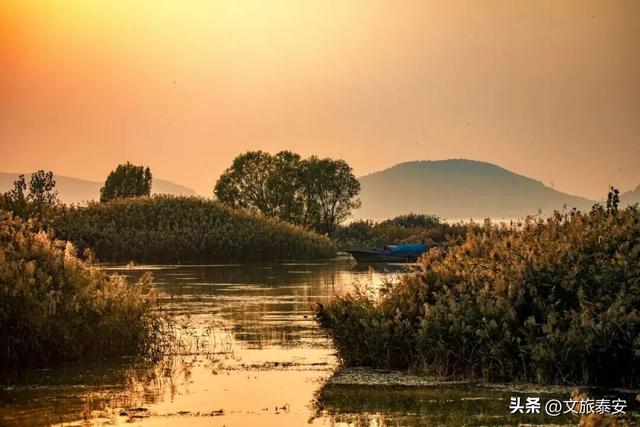 千万别在秋天来泰安，不然真的很难戒断