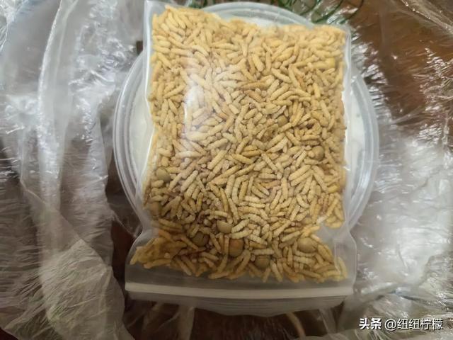 内蒙古之旅碎碎念,很开心的一次旅行,感觉鄂尔多斯被严重低估了