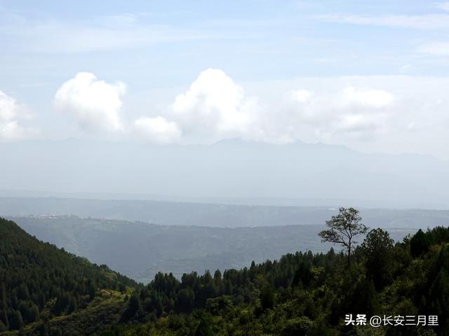 东山洪庆
