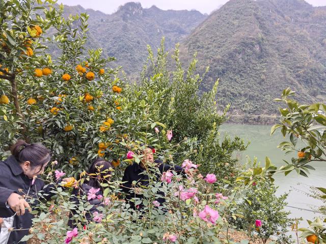 吴固民: 江边有个大道河