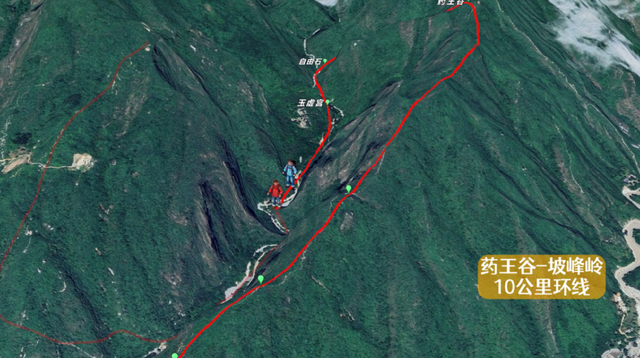 最强社死现场？两驴友登山迷路，怕寒碜不报警，把自己绑树上过夜