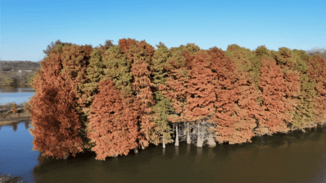 季节限定，丹徒这里“红”了！