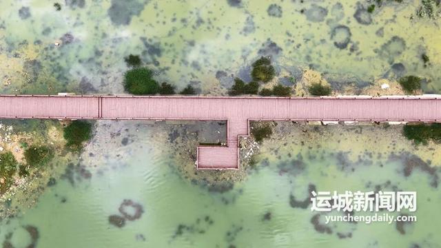 彩虹步道“绘”湖景！女盐池变身文旅新名片