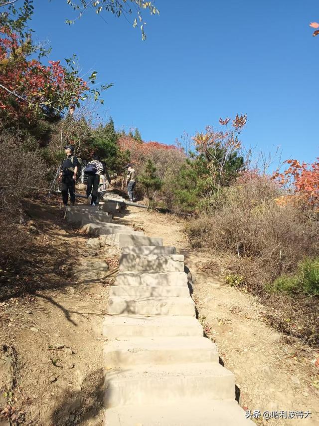 怒征西山公园，立在539.8米的顶峰