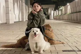 错失恐惧症图片