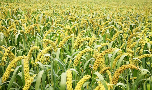 我国唯一的“美人县”，姑娘个个肤白貌美，你知道是哪吗？