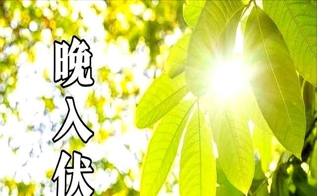 “早入伏凉得早。晚入伏热得跳”，7月20号入伏，入伏是早是晚？