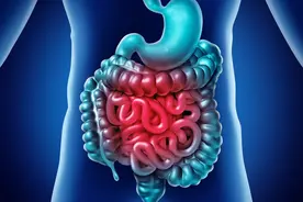 吃桑葚、火龙果容易拉肚子影响肠胃消化？告诉你哪些人适合吃图片