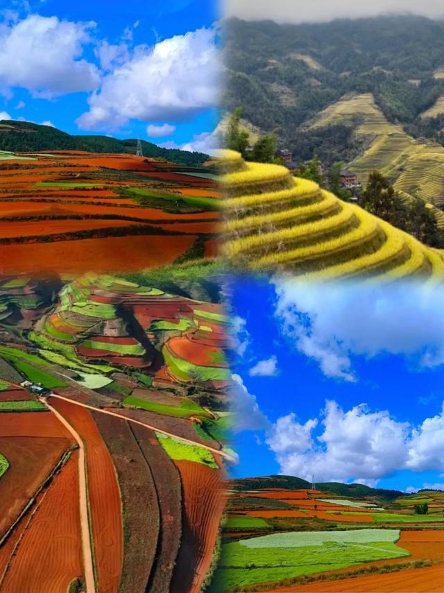 探秘雷山梯田｜这份秋色限定攻略请收好！