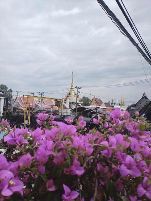曼谷的花，是市井里的浪漫勋章
