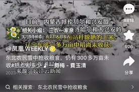 东北大雪300万亩粮食未收，来4个专家组，网友称不如来4头牛管用图片