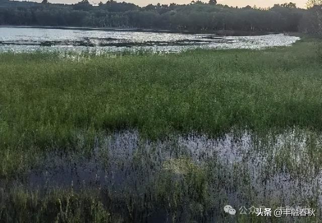 辽阔的乌兰布统草原｜ 李芳