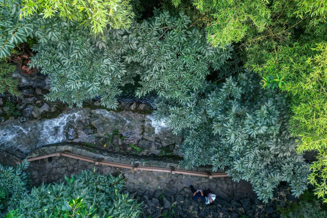 周末出发！济南这条自驾线路串起古建、名泉、红叶，美极了！