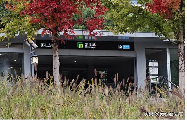 一叶知秋！2025年石家庄市城区赏秋指南来啦 这些地方别错过