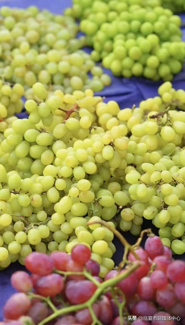 晨光里的烟火交响：临夏早市