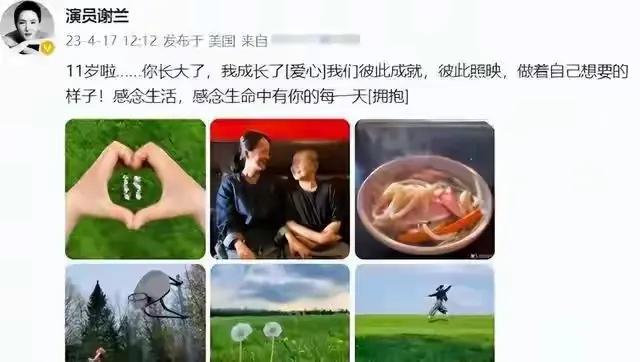 吃里扒外！定居美国13年，回国捞金惨遭“驱逐”，52岁活成了笑话