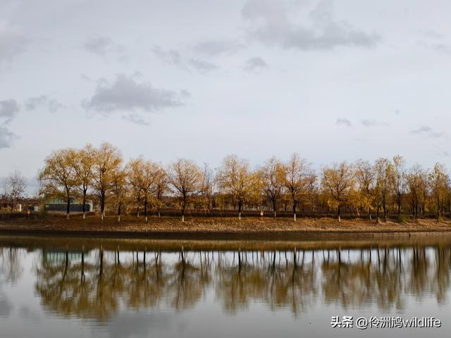 新疆昌吉头屯河公园