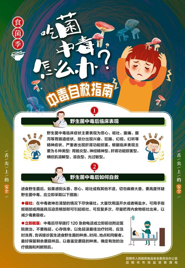这个季节来云南，抓根树枝我们去“打野”
