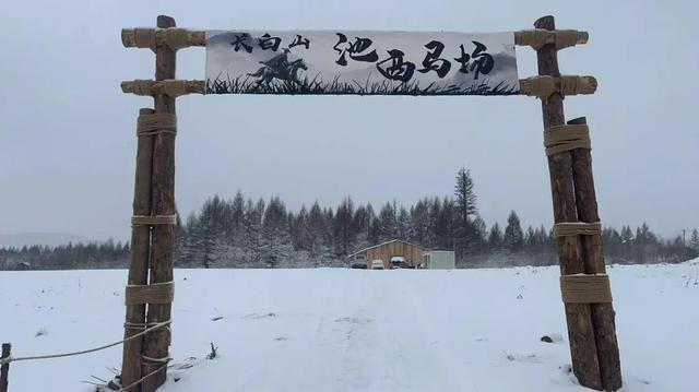 男子被马踹下体后续，没买票被骂活该，景区推卸责任，今重新开业