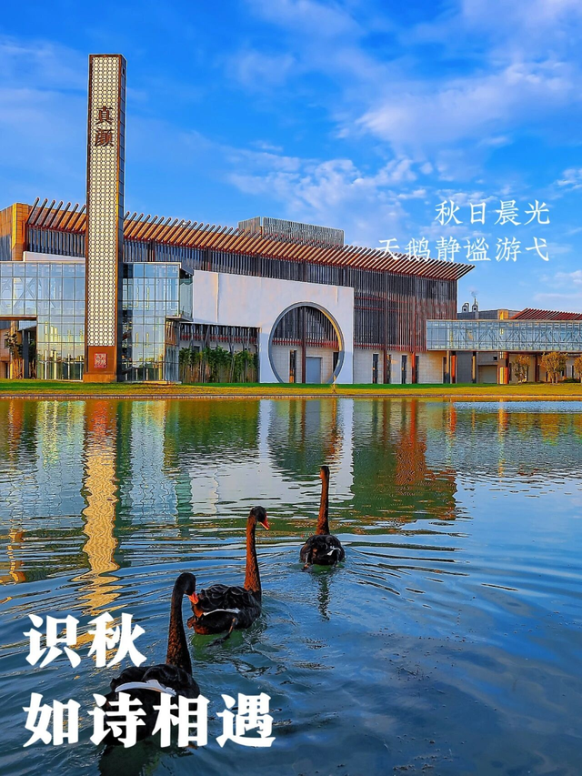 秋雨过后秋意浓，洛神湖畔韵无穷