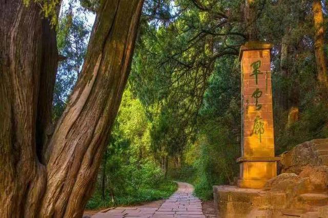 千年时光里的守望与传承