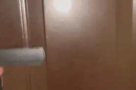 怀孕小母猫爬28楼上门求助网友，猫猫：就是这，以后记得给我送饭图片