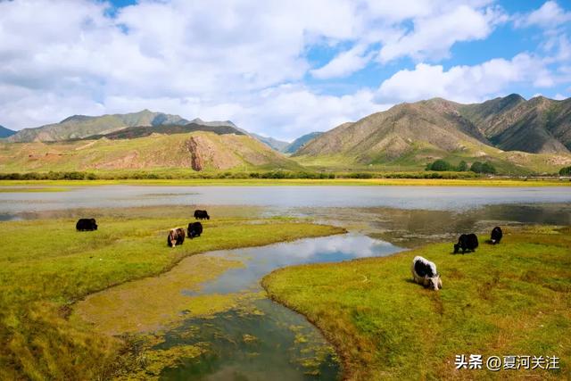在夏河 拒绝“基础款”