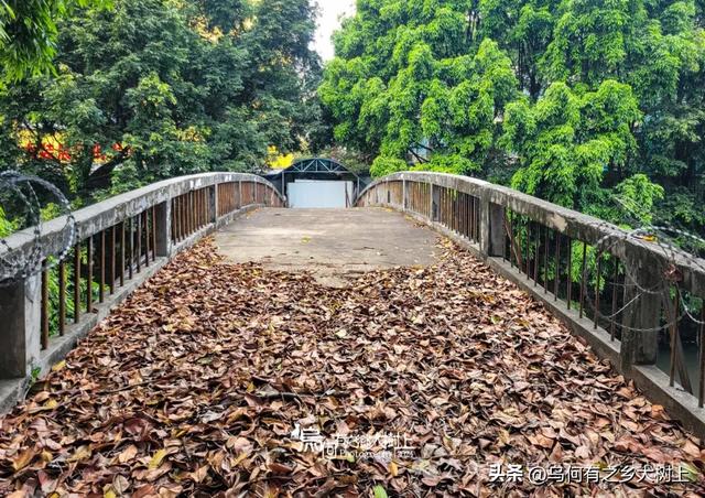 它是南宁第一座铁桥，仅花费8000元建成，如今已成危桥被废弃