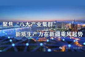 聚焦“八大产业集群” 新质生产力在新疆乘风起势图片