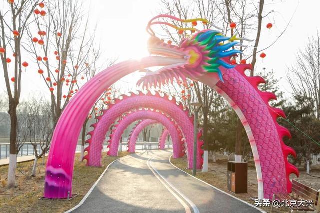 先睹为快！2026彩灯大世界将于2月6日正式亮灯——