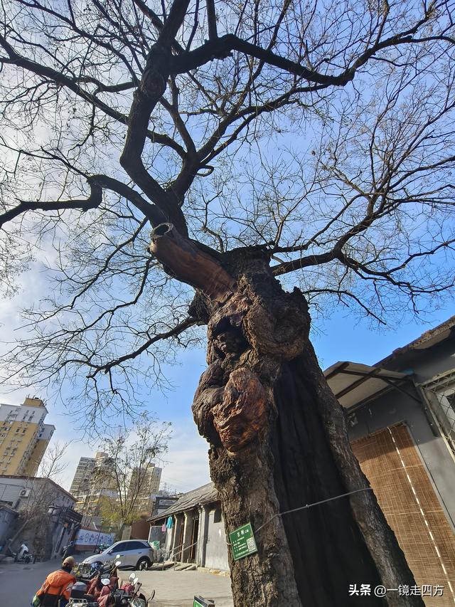 被称为“驼铃古道新街”的北京模式口历史文化街区