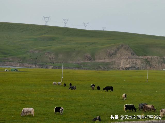 “西行漫记”二：一群亲如兄弟的好朋友让我感动一路