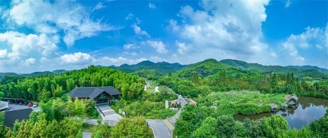 湖州长颈鹿庄园荣获全国旅游创新案例，生态亲子模式受瞩目