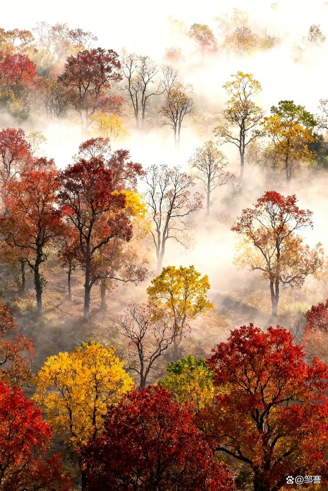 「散文」回首处，看群山尽染，绚烂是初冬的独白