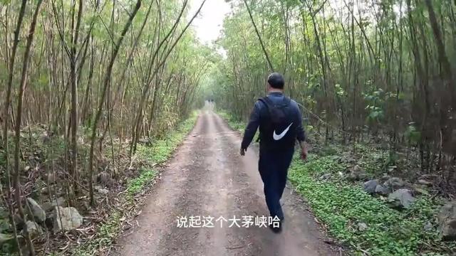 惊险刺激！重庆大渡口小众徒步路线，走完全程需要勇气