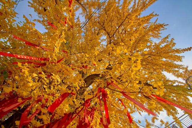 太全面了！8条游玩线路+京郊汤泉！带您玩转北京这里！（1）