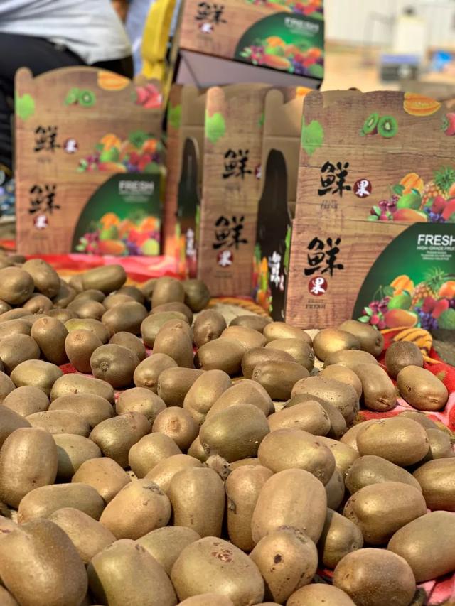 乡醇猕猴桃熟啦！解锁“桃”不掉的清凉采摘之旅